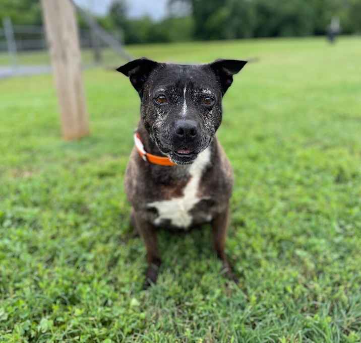Photo of Hope