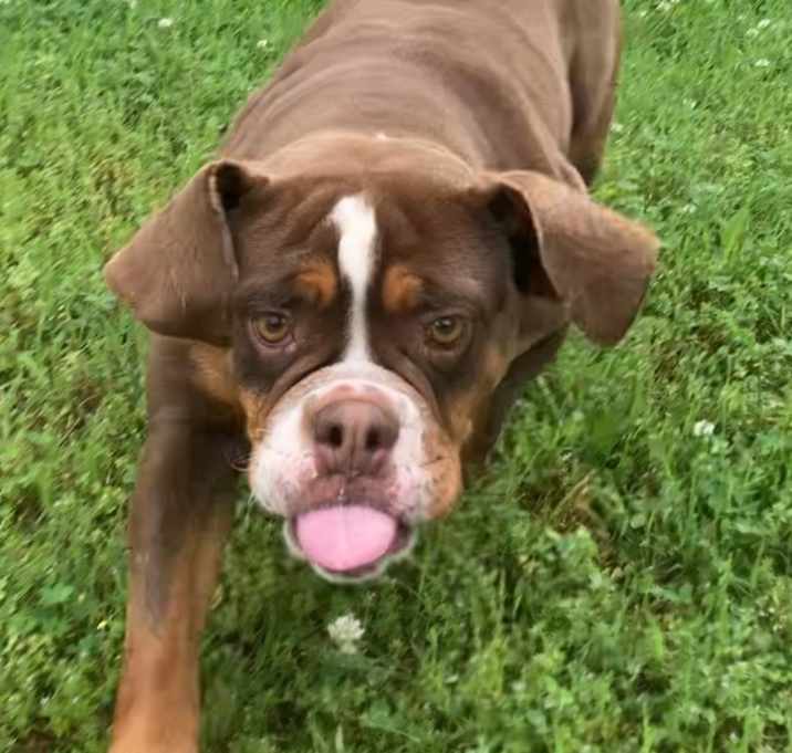 Photo of Gloria