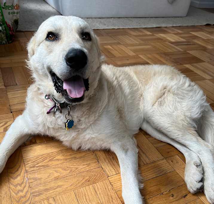 Photo of Edgar