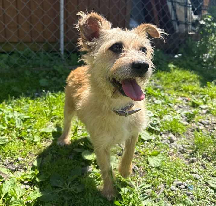 Photo of Ruby