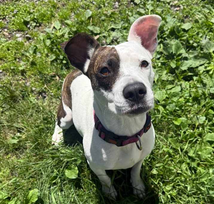 Photo of Dottie