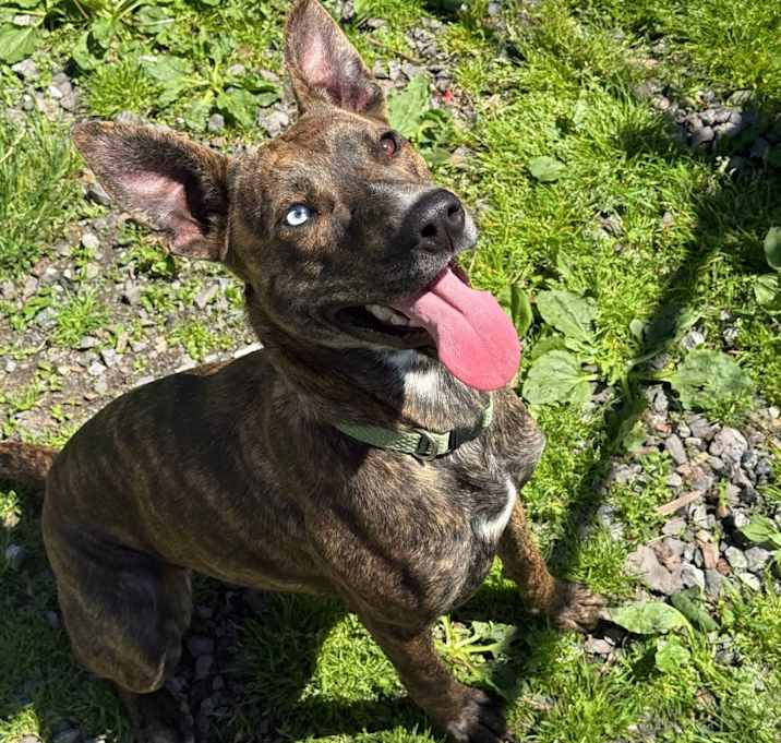 Photo of Skye