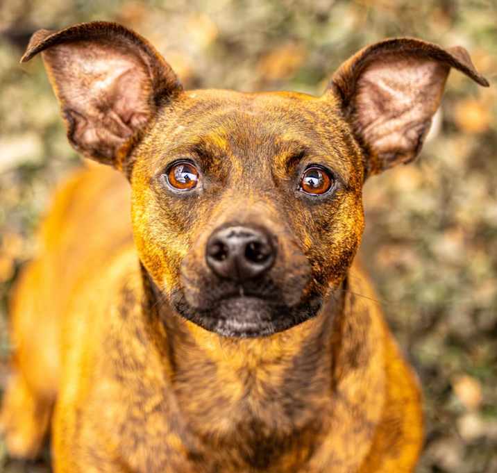Photo of Sherry
