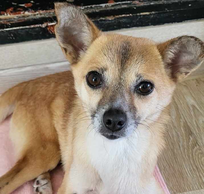Photo of Miracle