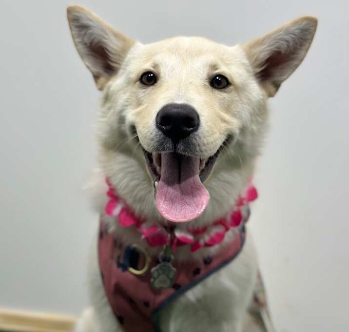 Photo of Bubu