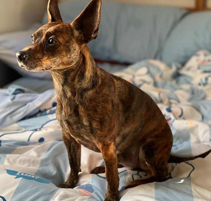 Photo of Billy-Hesperia, CA