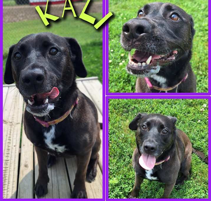 Photo of Kali