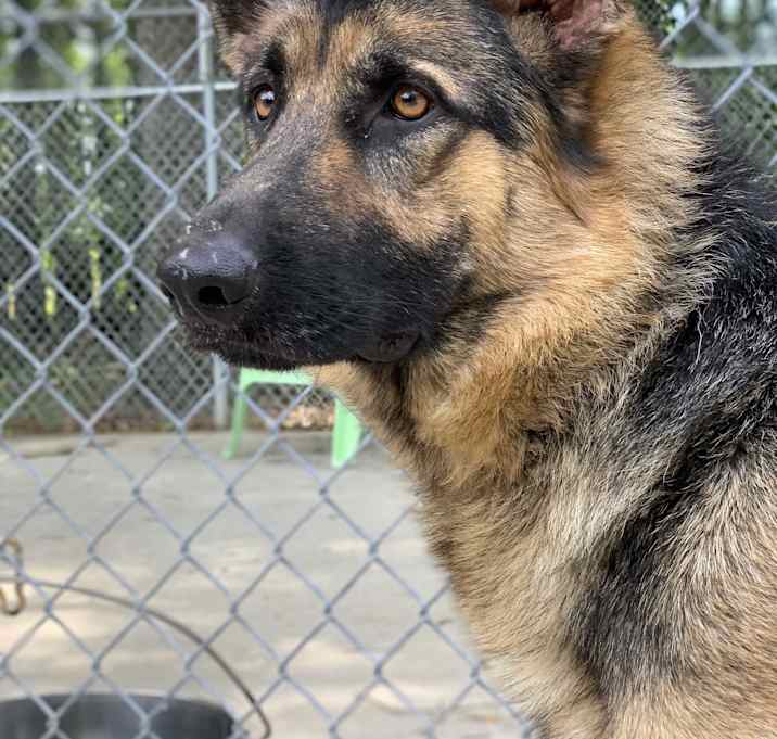 Photo of Gia