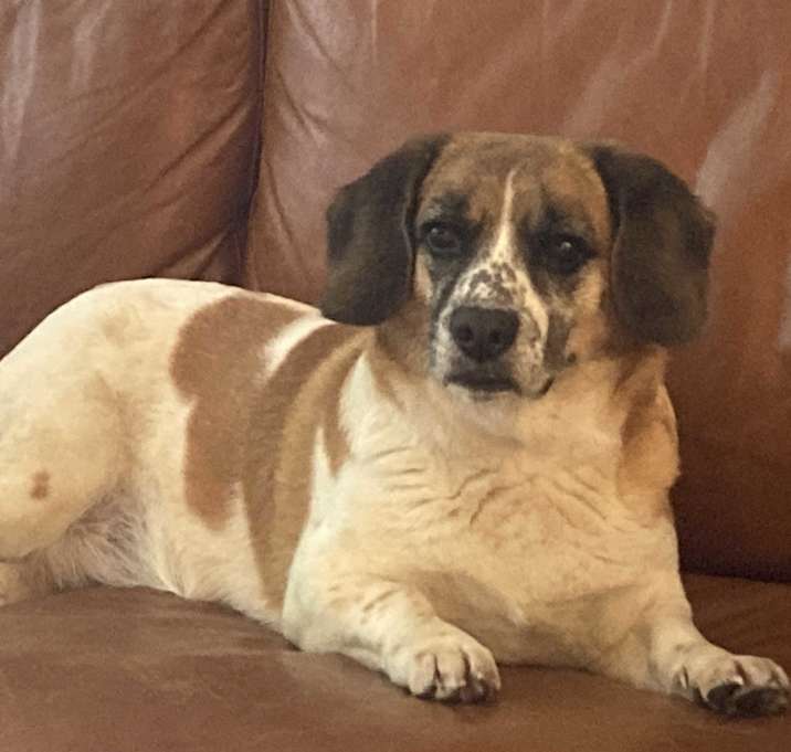 Photo of Moxie
