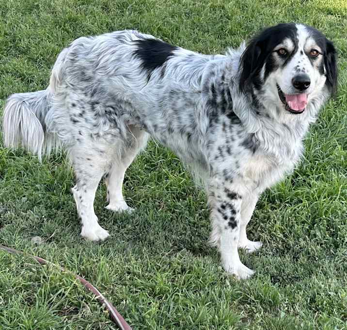 Photo of Allie