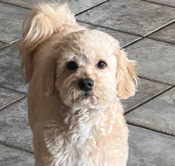 Photo of Freddie