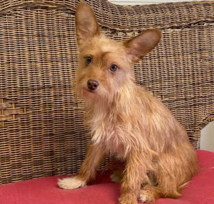 Photo of mia