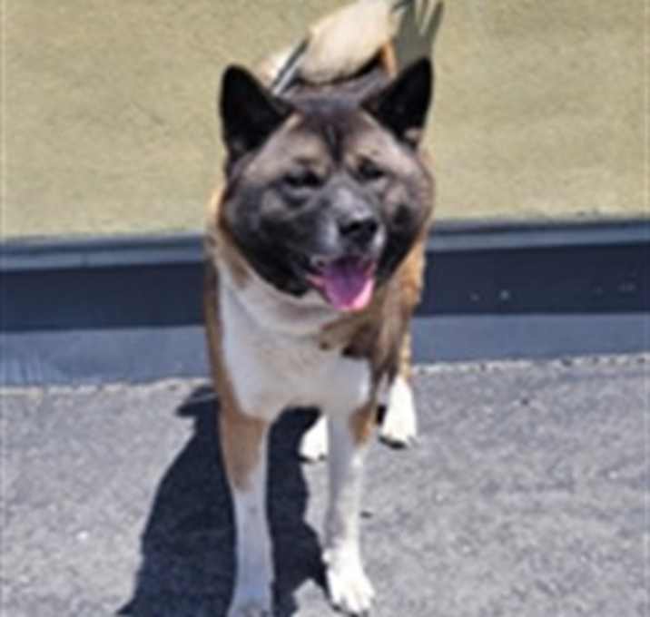 Photo of TOBY