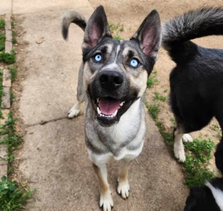 Photo of Tycho