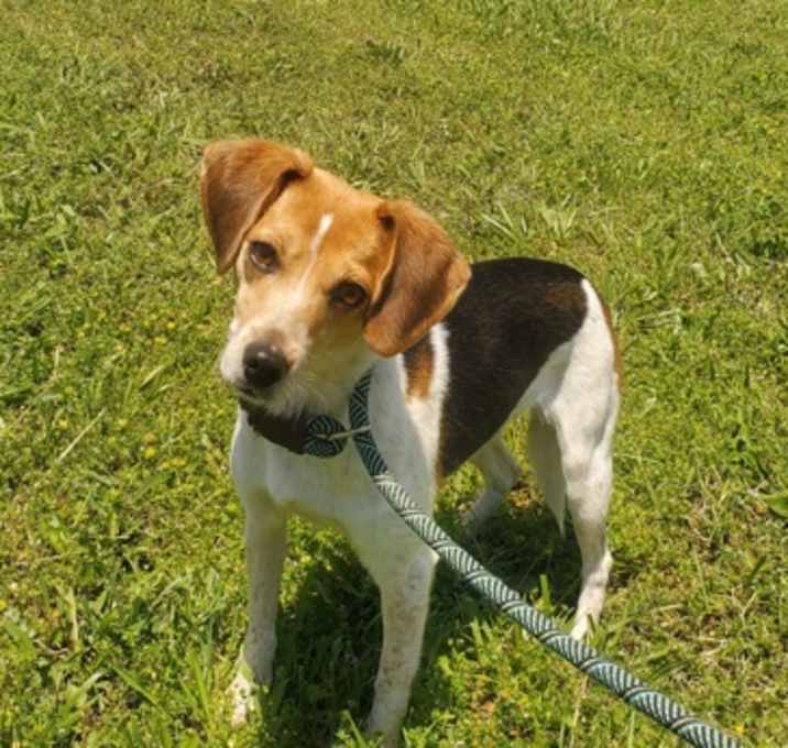 Photo of Honey