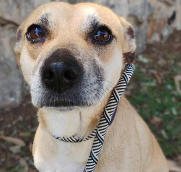 Photo of Maisy