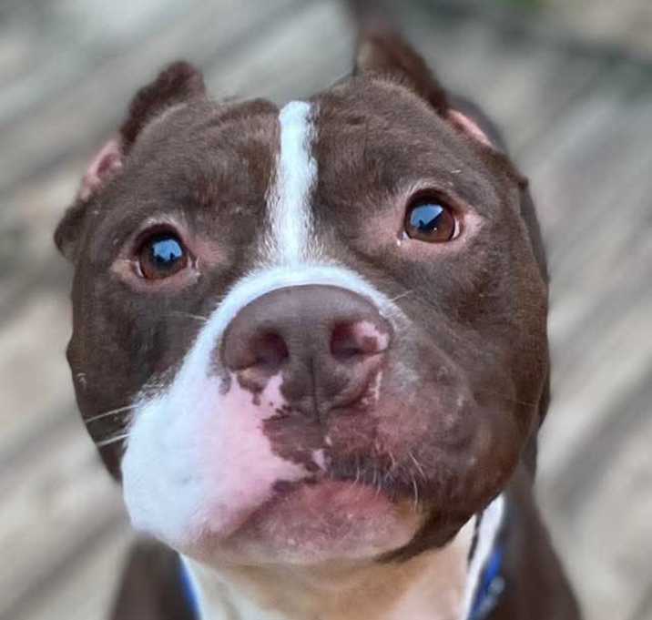 Photo of Juice