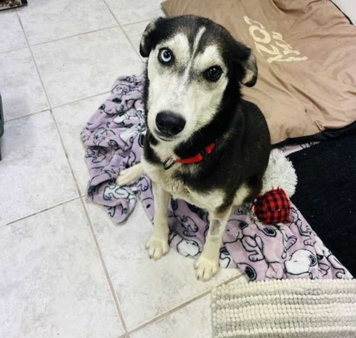 Photo of Athena
