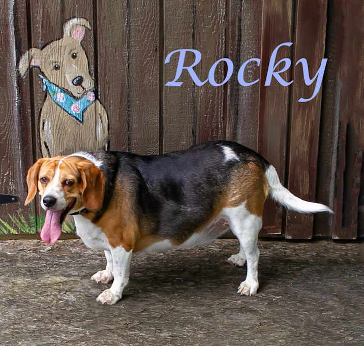 Photo of Rocky D25-087