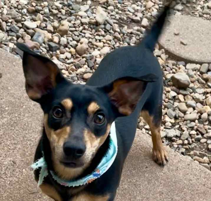 Photo of Handsome in Texarkana TX