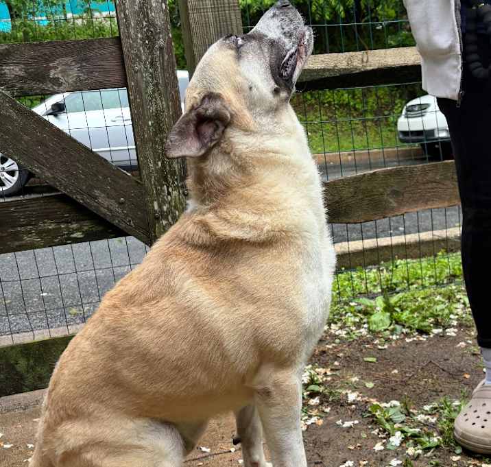 Photo of Tank