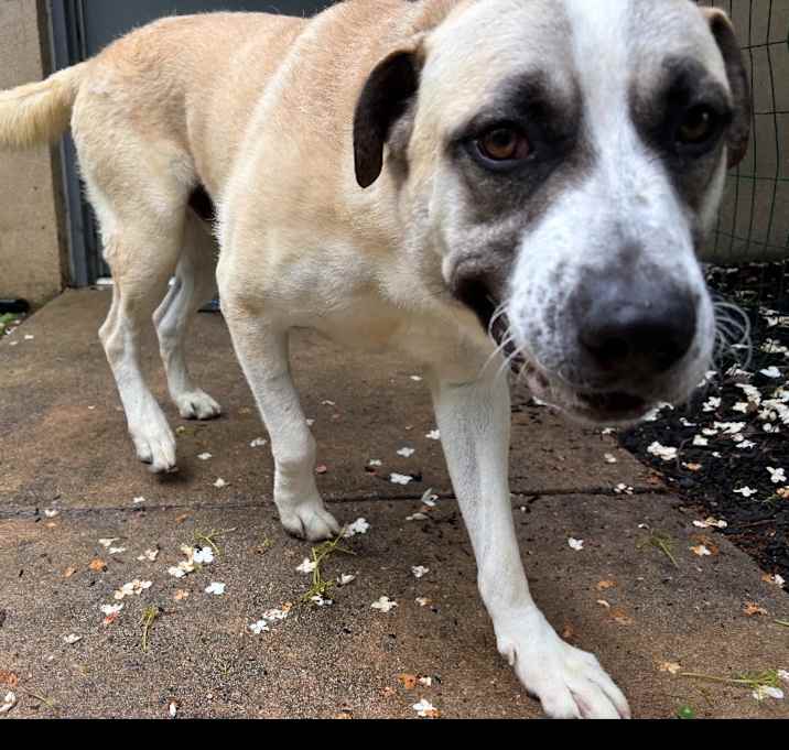 Photo of Tank