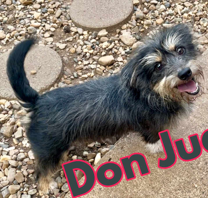 Photo of Don Juan in Texarkana TX