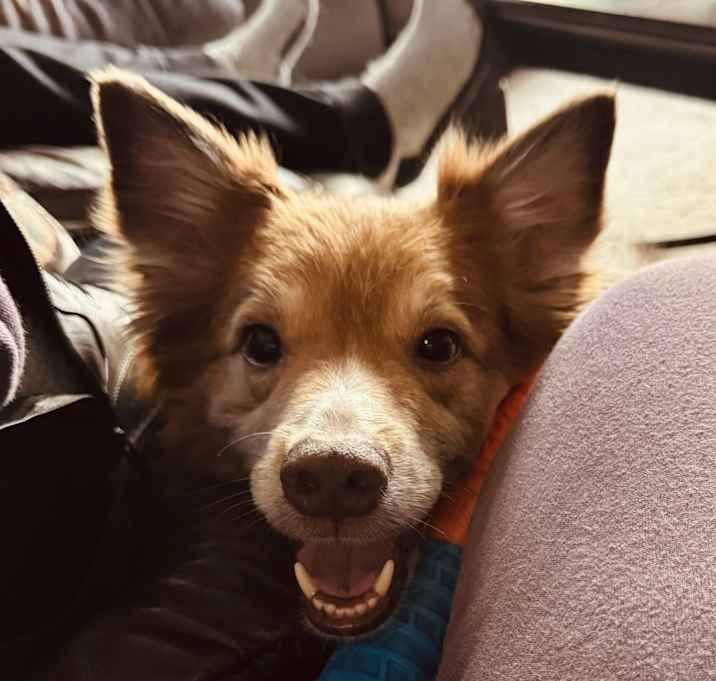 Photo of Tator