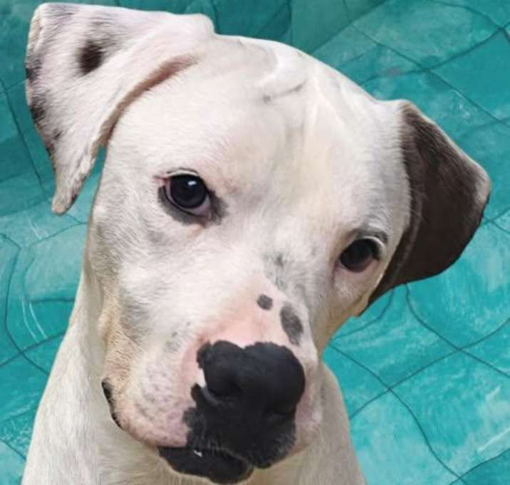 Photo of Zeke