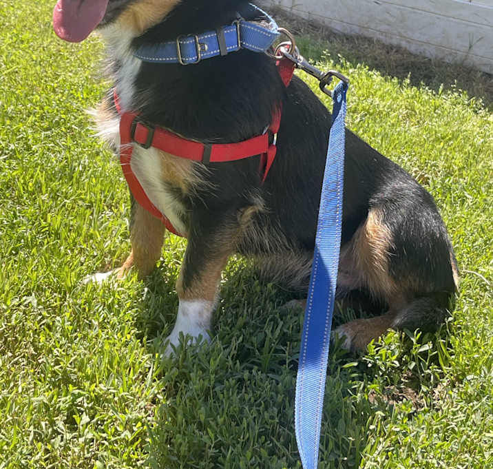 Photo of Sebastian