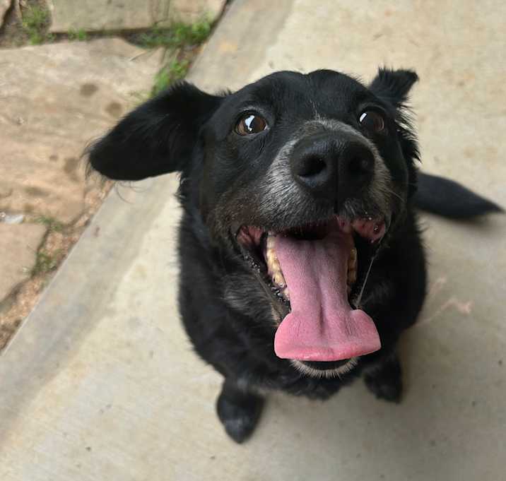 Photo of Charlie
