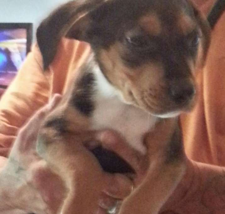 Photo of Mickey