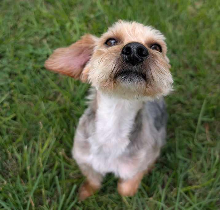 Photo of Toby Maverick