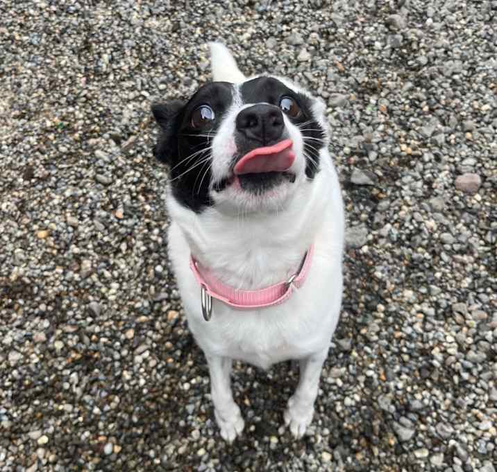 Photo of Mitzi
