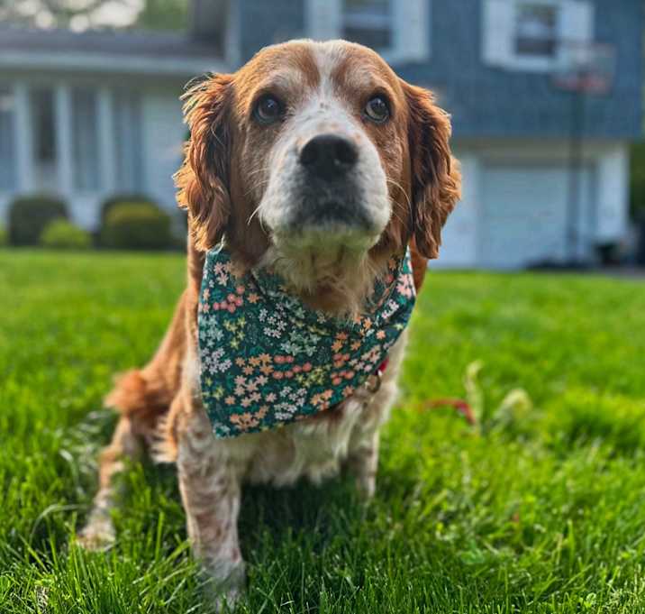 Photo of Thelma