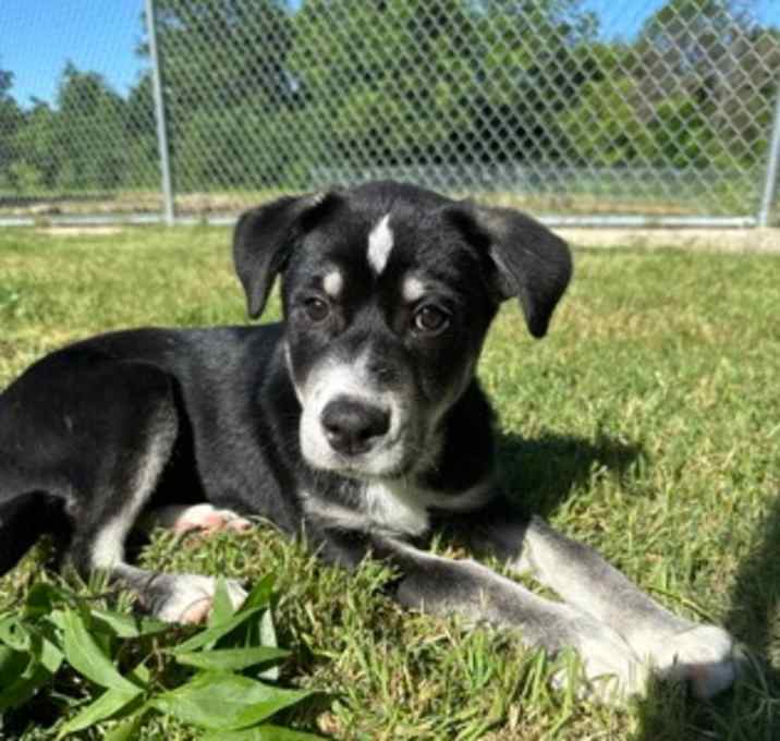 Photo of DeeDee
