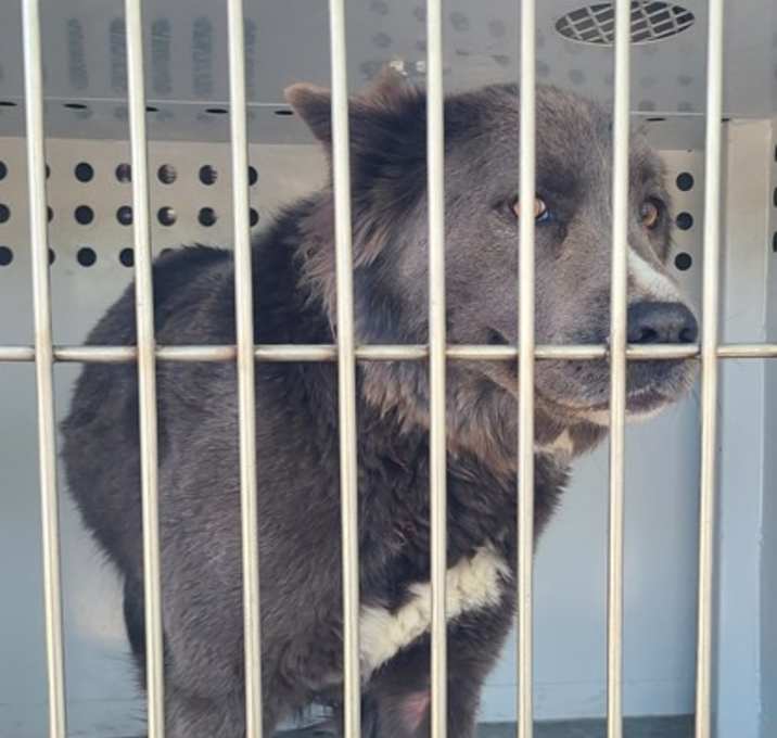 Photo of RAGNAR