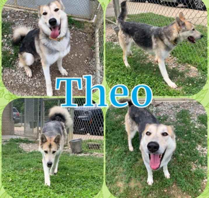 Photo of Theo