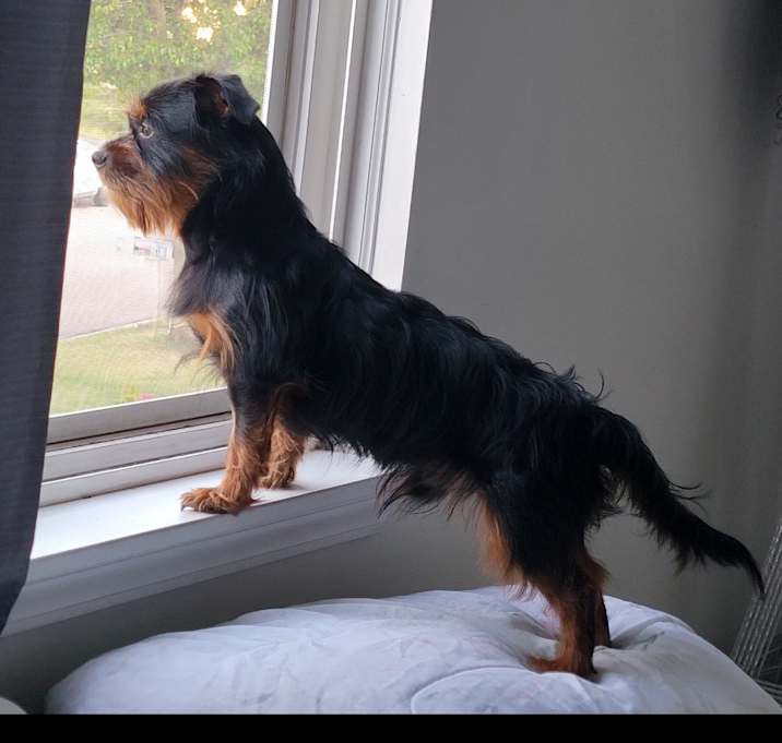 Photo of Rylo