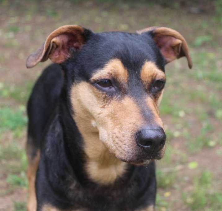 Photo of Wick