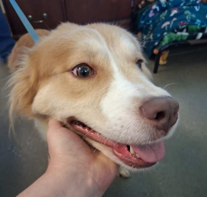 Photo of Zelda