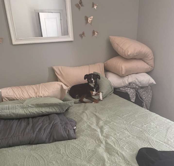 Photo of Sadie