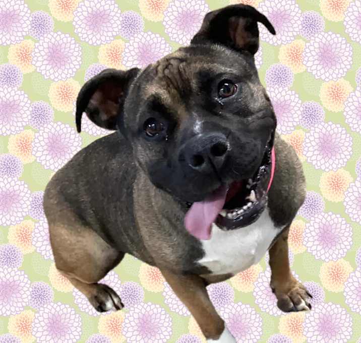 Photo of Coco