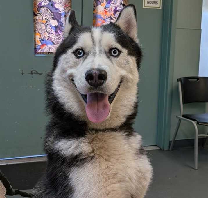 Photo of ATLAS