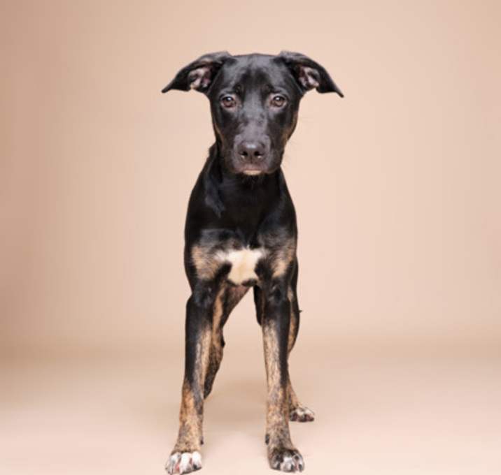 Photo of Nikita