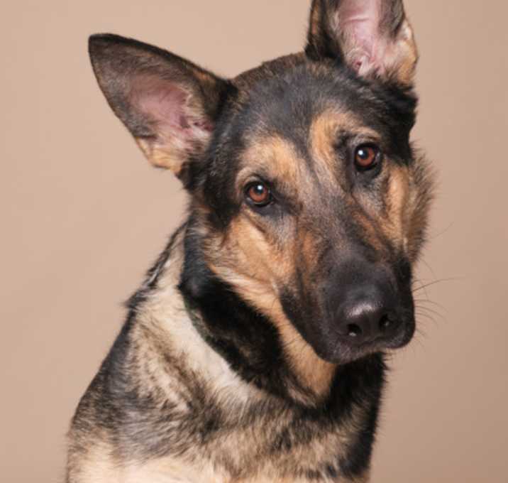 Photo of Thor