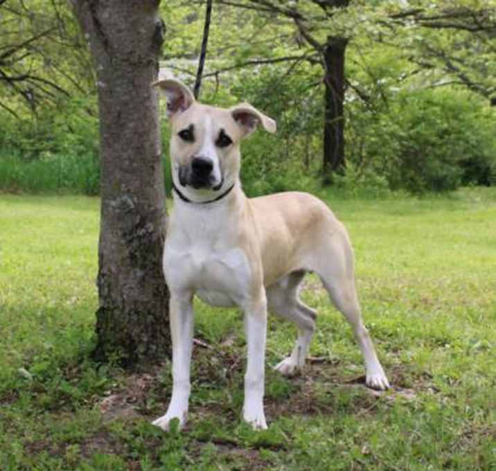 Photo of Maverick