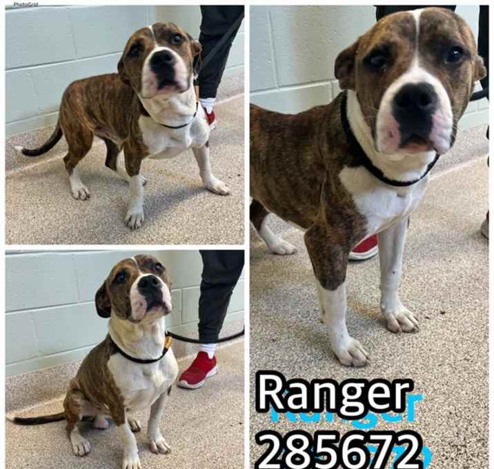 Photo of BANJO