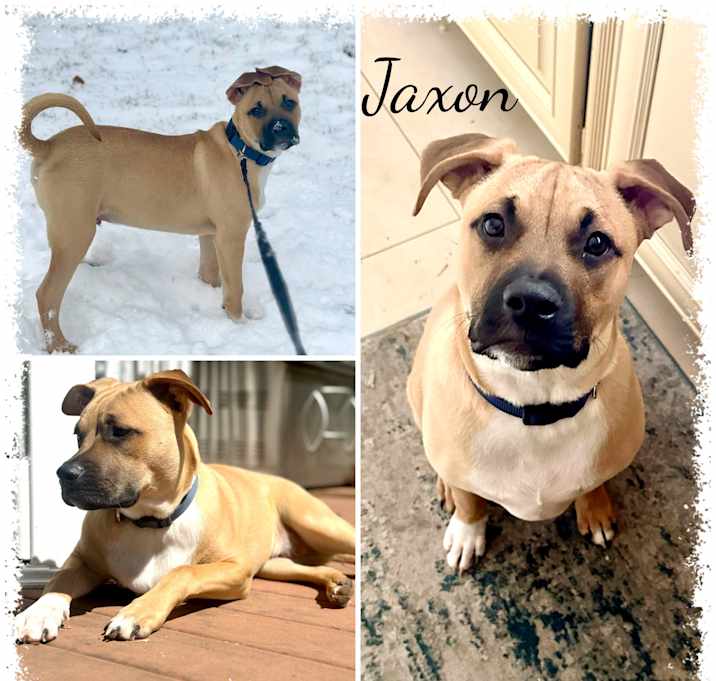 Photo of Jaxon