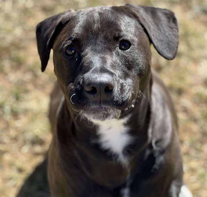 Photo of Linus